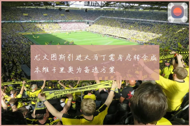 尤文图斯引进大马丁需考虑转会成本维卡里奥为备选方案
