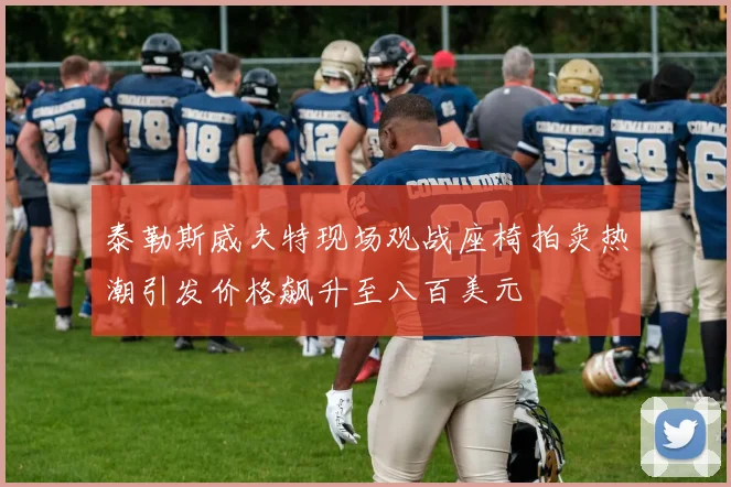 泰勒斯威夫特现场观战座椅拍卖热潮引发价格飙升至八百美元